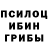 Галлюциногенные грибы Psilocybe Serg Linnik