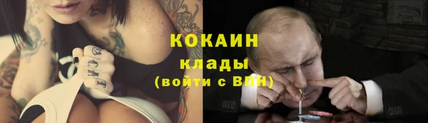 хмурый Алексин
