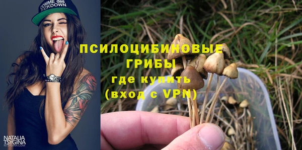 прущий лед Алексеевка