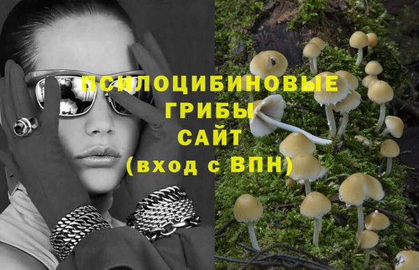 хмурый Алексин