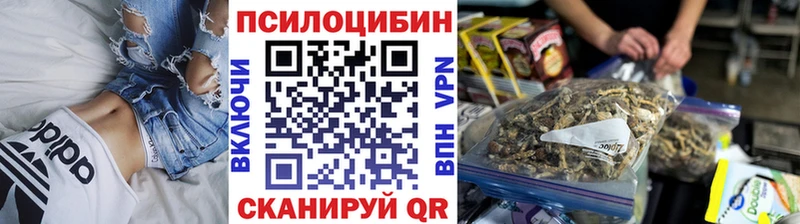 Псилоцибиновые грибы ЛСД  Балашов 